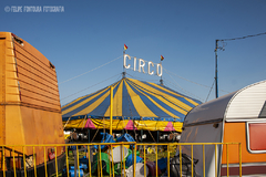 Vida de Circo 11