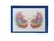 Paleta de Sombras Angel Wings Bella Forever en internet