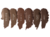 Eyebrow Definer Gel Beauty Creations, Gama de 6 piezas - comprar en línea