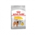 ROYAL CANIN MEDIUM DERMACONFORT X 10KG