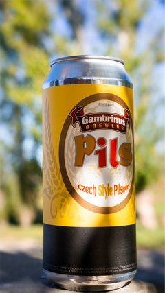 12 Czech Pils - tienda online