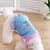 Roupas de colete de algodão para cachorros na internet