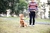Coleira de cachorro roupas arnês colete macio ajustável cinto arnês pet caminhada treinamento para fora colar alça de mão acessórios do cão alça leads - comprar online