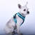 Cão de estimação arnês verão malha náilon respirável cão colete macio ajustável arnês para cães filhote de cachorro coleira gato cão de estimação cinta de peito na internet
