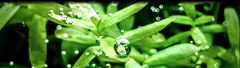 Banner da categoria CO2