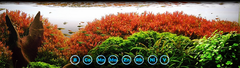 Banner da categoria Micro Nutrientes