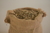 Yerba mate x10 kg