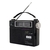 Radio Portatil Dual 4 bandas Winco W2004 - comprar online