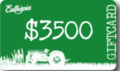 GIFTCARD $3500