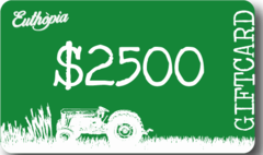 GIFTCARD $2500