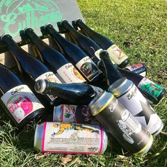 Pack Degustación (4 botellas - 4 latas) - comprar online