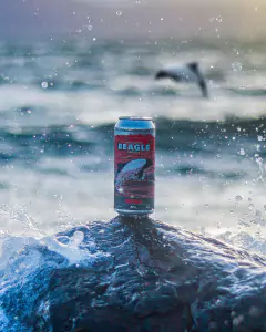Cerveza Overa APA Beagle 473 cc - comprar online