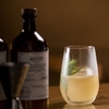 2 DRY GIN 21 BOTÁNICOS MAGALLANES + DE REGALO 2 COPONES 450 ML