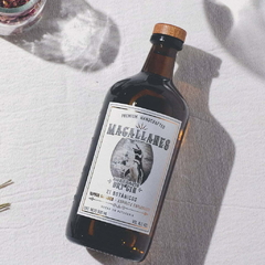 DRY GIN 21 BOTÁNICOS MAGALLANES + COPÓN 450 ML - comprar online
