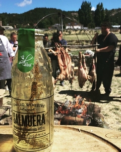 Salmuera Marina Meseta Patagónica Sal de aquí 500 ml - ✨【Más Que Bien】【Los Mejores Productos Regionales】✨