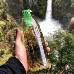 Salmuera Marina Meseta Patagónica Sal de aquí 500 ml - tienda online