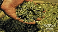 Yerba Mate Yemarí 500 grs - comprar online