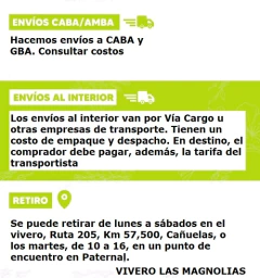 Serbal De Los Cazadores - Sorbus - Vivero Las Magnolias