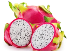 Pitahaya, Fruto Del Dragón - Plantines orgánicos