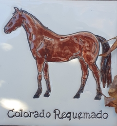 Pelajes Criollos 30x60 - tienda online