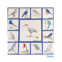 Especies Argentinas 60x60