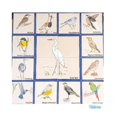 Especies Argentinas 60x60