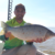 Pesca en Villa Constitución en internet