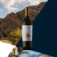 Seismiles Cabernet Sauvignon - comprar online