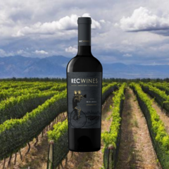Rec Wine Malbec - Cava en Casa