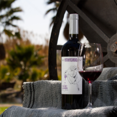 Amansado Classic Cabernet Sauvignon 2019 - Cava en Casa