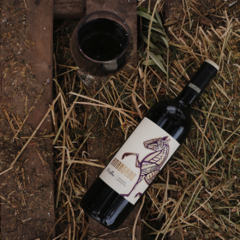 Amansado Reserva Malbec 2018 - Cava en Casa