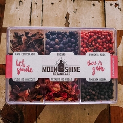 Caja de 6 Botánicos Moonshine p/gin y cocktails
