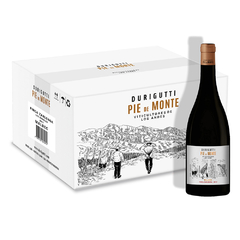 Pie de Monte Valle de Uco Finca Zarlenga Malbec 2018 - comprar online