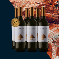Seismiles Syrah - comprar online