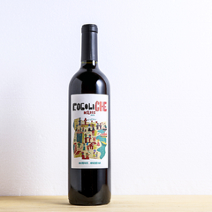 Cocoliche Malbec 2019 en internet