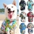 Camisa havaiana para cães (pequeno e médio porte) e gatos