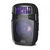 Multireproductor portable Stromberg Flash