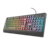 Teclado Gamer Trust Ziva en internet