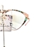 TERESA CALANDRA C32M - comprar online