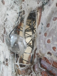 Mariana, 40 x 100 cm - Kiki Lawrie / La Juana