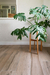 PORCELANATO ILVA ECOWOOD ROVERE 20X120 - Porcelanatos HD - Grupo AP