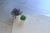 PORCELANATO POLCOM PULIDO 60X60 SUPER WHITE - comprar online