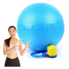 PELOTA YOGA/FITNESS 65 CM CON INFLADOR