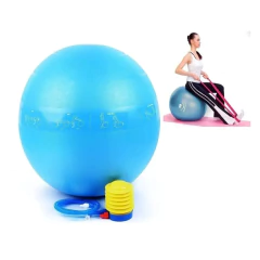 PELOTA YOGA/FITNESS 65 CM CON INFLADOR en internet