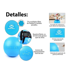 PELOTA YOGA/FITNESS 65 CM CON INFLADOR - tienda online