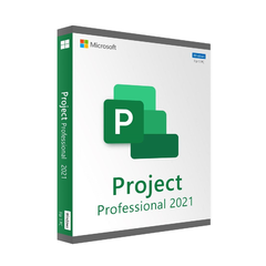ESD Project Professional 2021 Windows