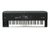 KORG NAUTILUS-61 (220V) Workstation Sampler 61 Teclas 9 MOTORES Grabador AUDIO