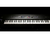 Imagen de KORG NAUTILUS-61 (220V) Workstation Sampler 61 Teclas 9 MOTORES Grabador AUDIO