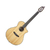 Breedlove PUN31CE Nylon Pursuit Concert CE