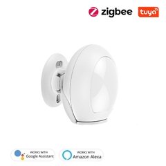 Zigbee sensor de movimento na internet